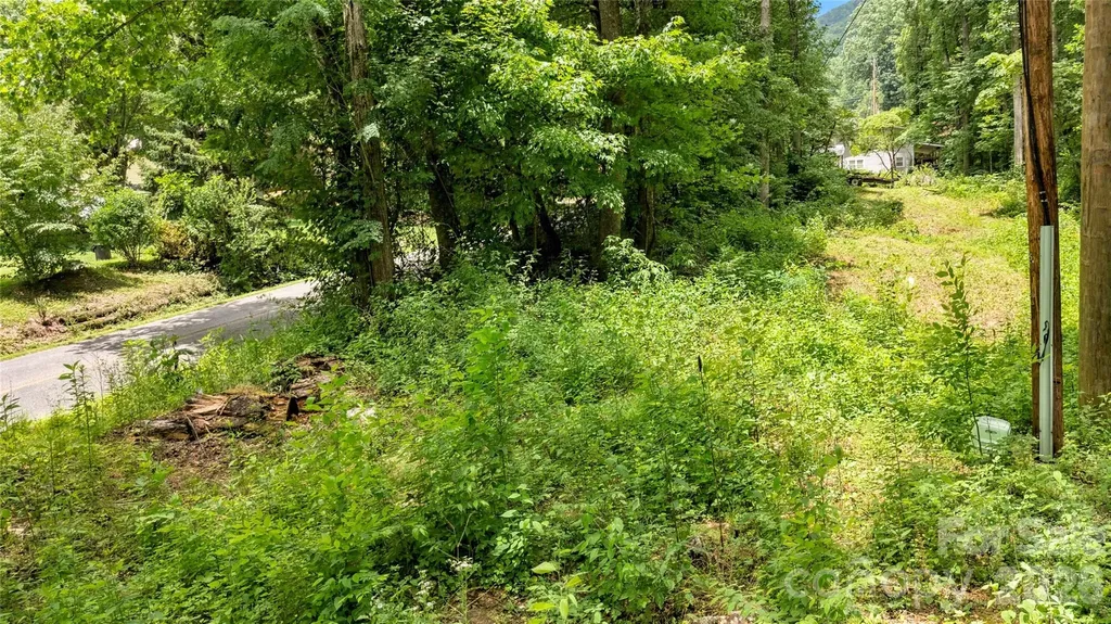 0000 Fisher Creek Road Sylva NC 28779