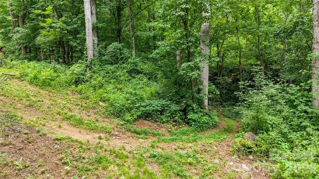0000 Fisher Creek Road Sylva NC 28779