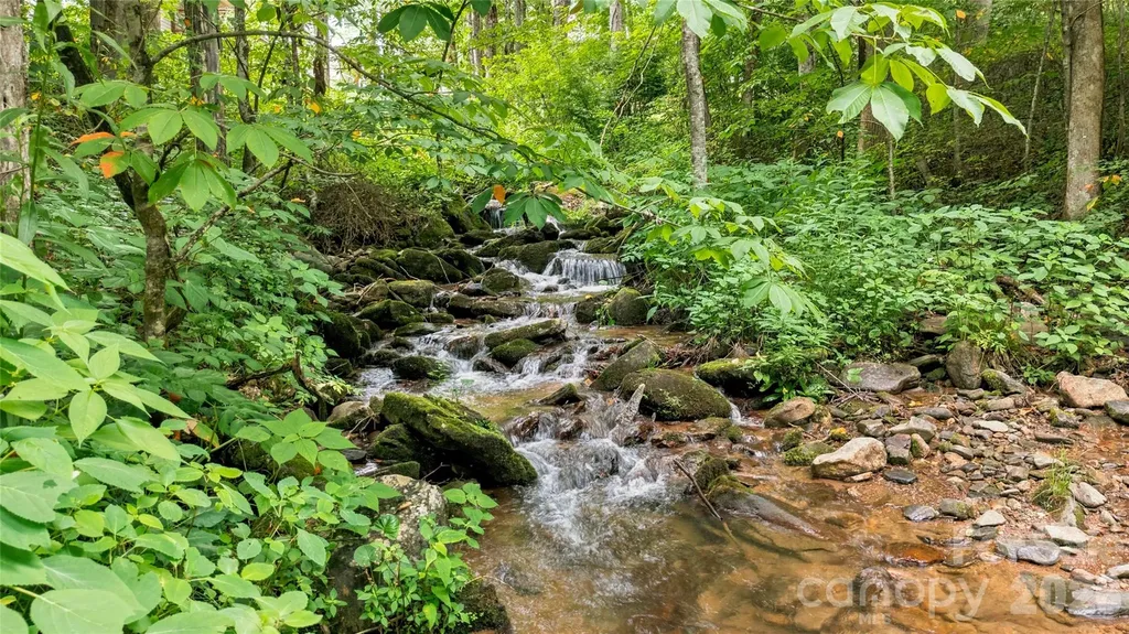 0000 Fisher Creek Road Sylva NC 28779