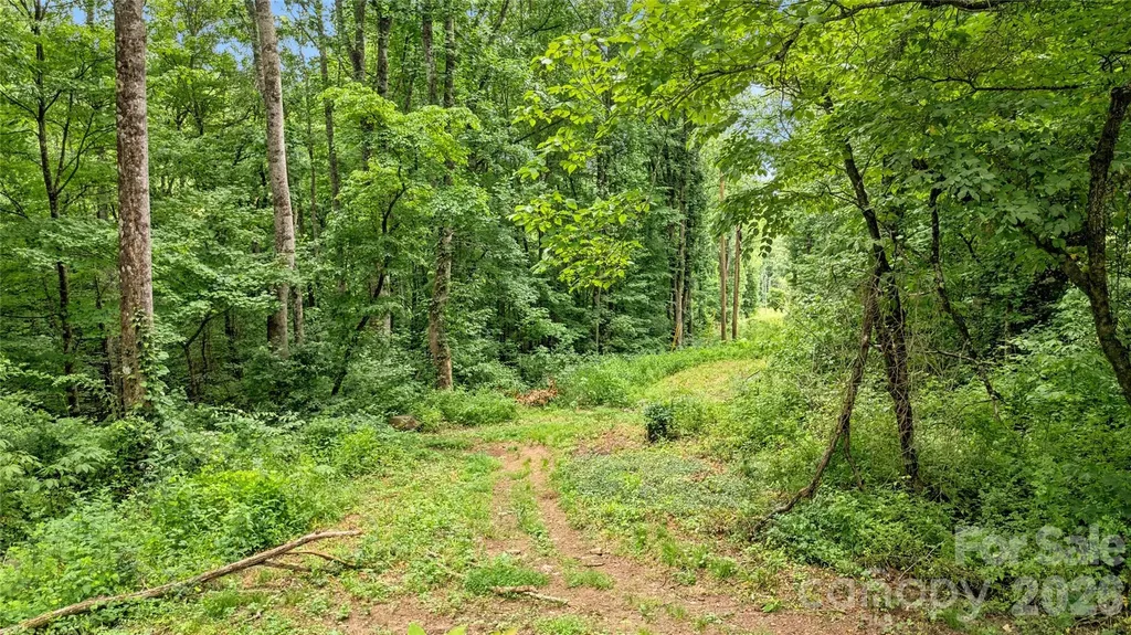 0000 Fisher Creek Road Sylva NC 28779