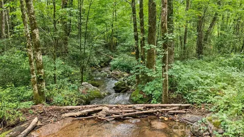 0000 Fisher Creek Road Sylva NC 28779
