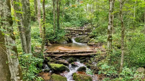 0000 Fisher Creek Road Sylva NC 28779