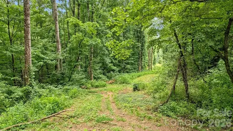 0000 Fisher Creek Road Sylva NC 28779