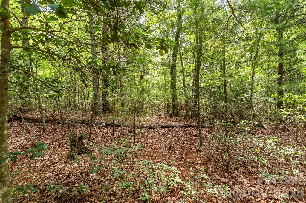 2040 Hampson Road Morganton NC 28655
