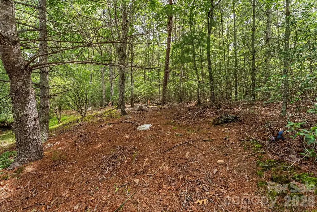 2040 Hampson Road Morganton NC 28655