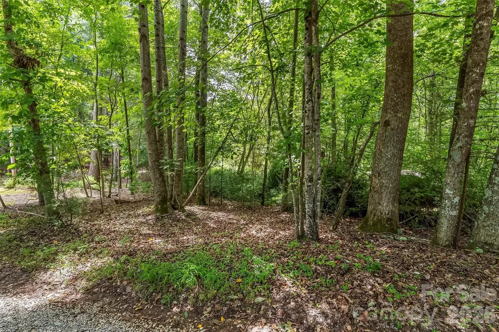 2040 Hampson Road Morganton NC 28655