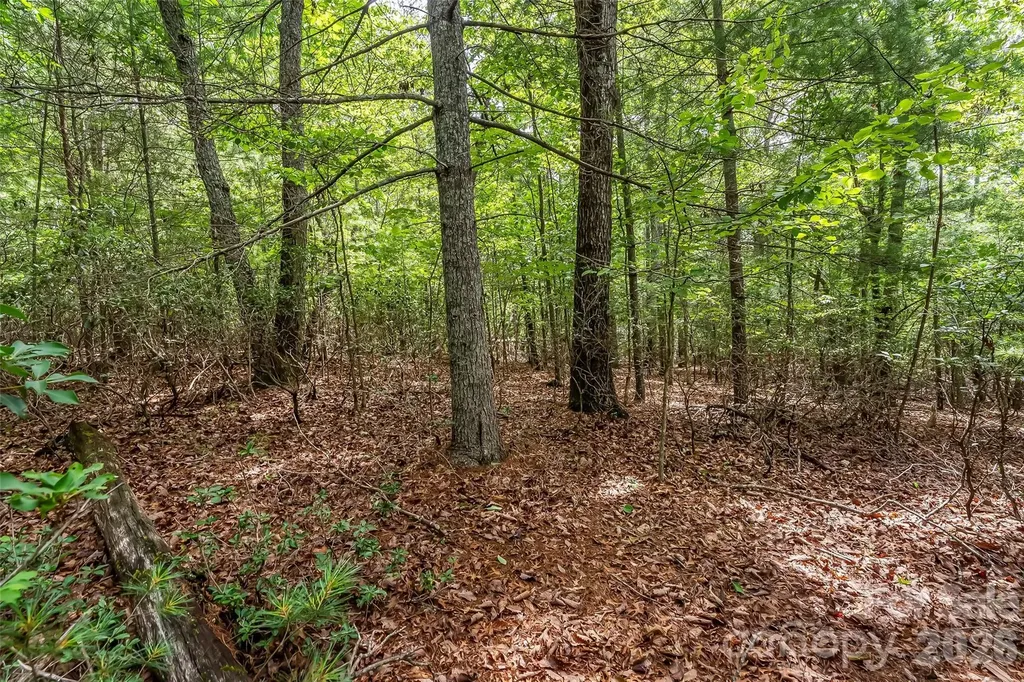 2040 Hampson Road Morganton NC 28655