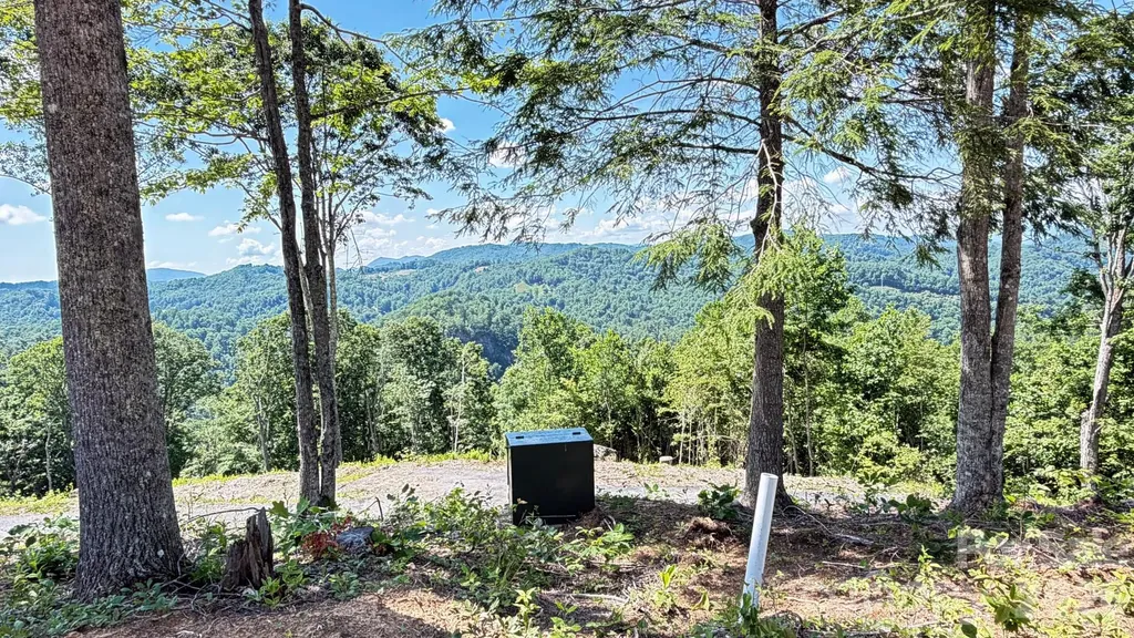 Lot 6 Pinnacle View Elk Park NC 28622