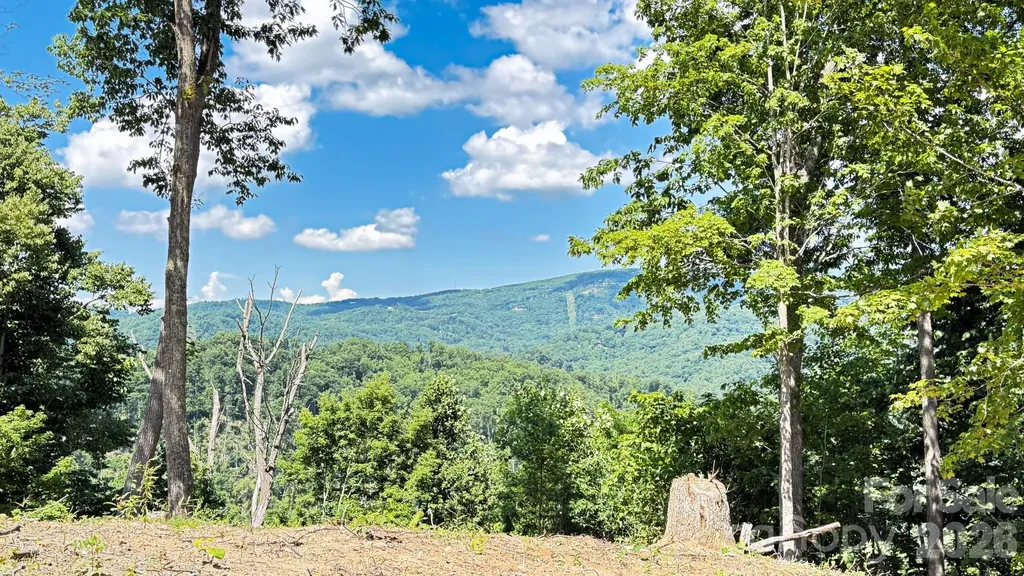 Lot 6 Pinnacle View Elk Park NC 28622
