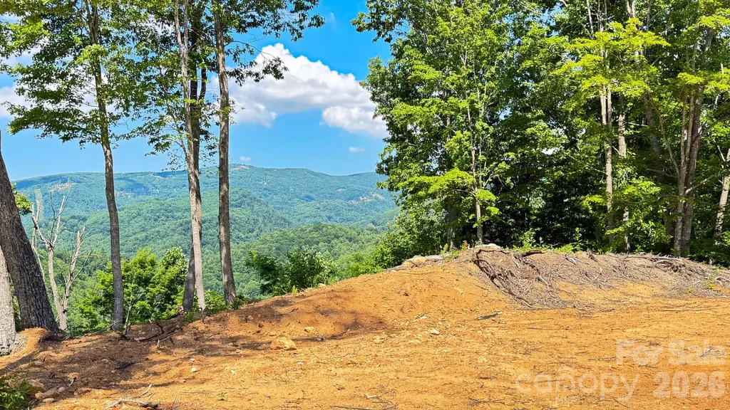 Lot 6 Pinnacle View Elk Park NC 28622