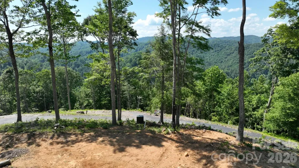Lot 6 Pinnacle View Elk Park NC 28622
