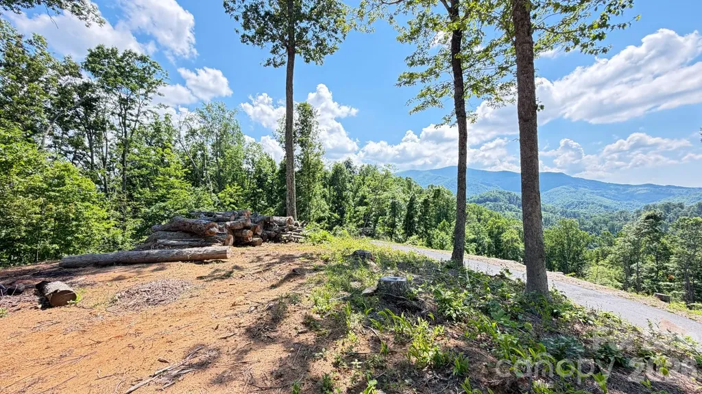 Lot 6 Pinnacle View Elk Park NC 28622