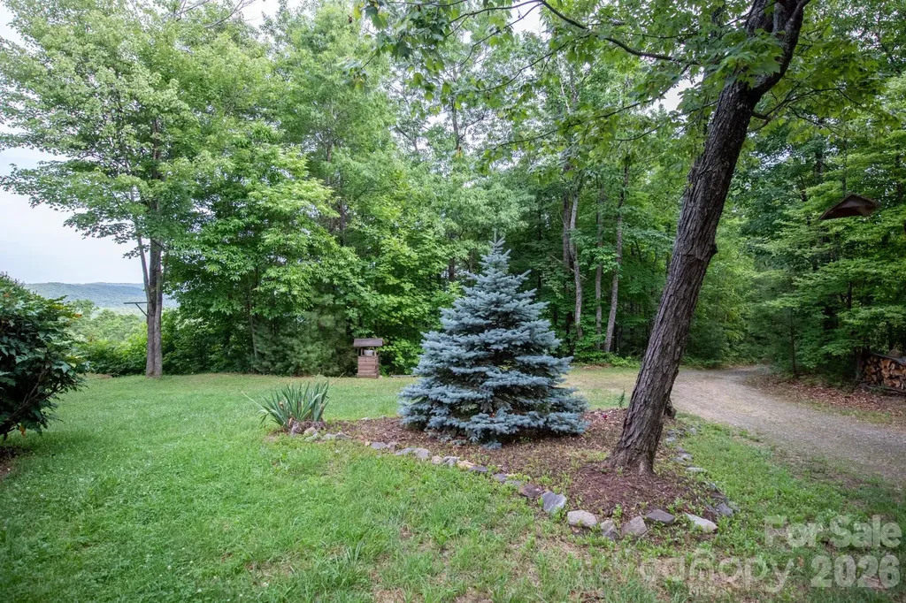 1639 Mountain Vista Drive McGrady NC 28649