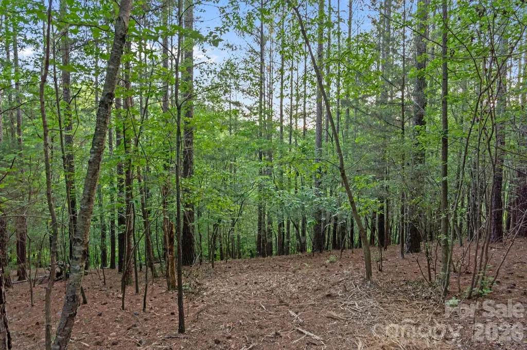 0000 Lucy Short Cut Road Marshville NC 28103