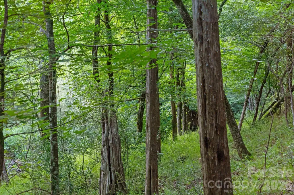 0000 Lucy Short Cut Road Marshville NC 28103