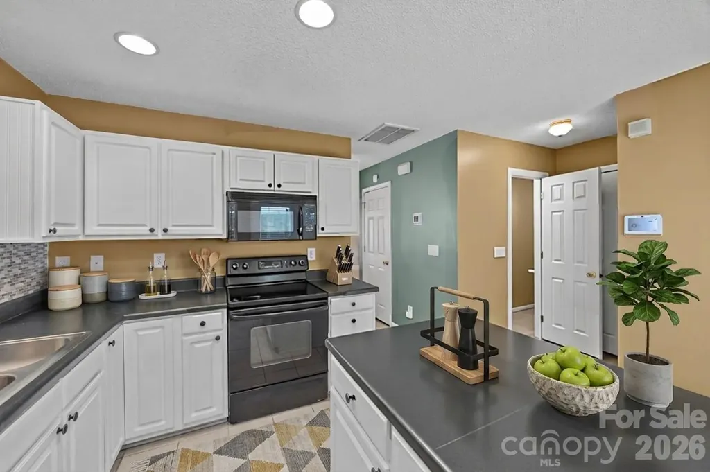 15066 Deshler Court Charlotte NC 28273