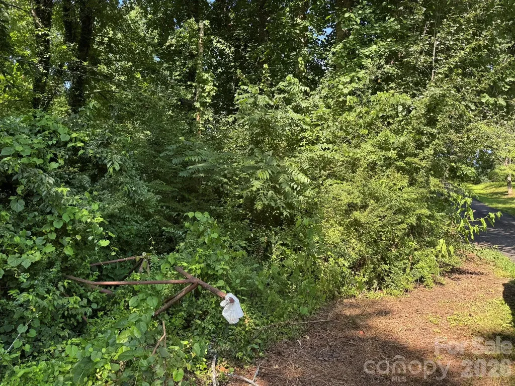 0 Arlington Extension Bryson City NC 28713
