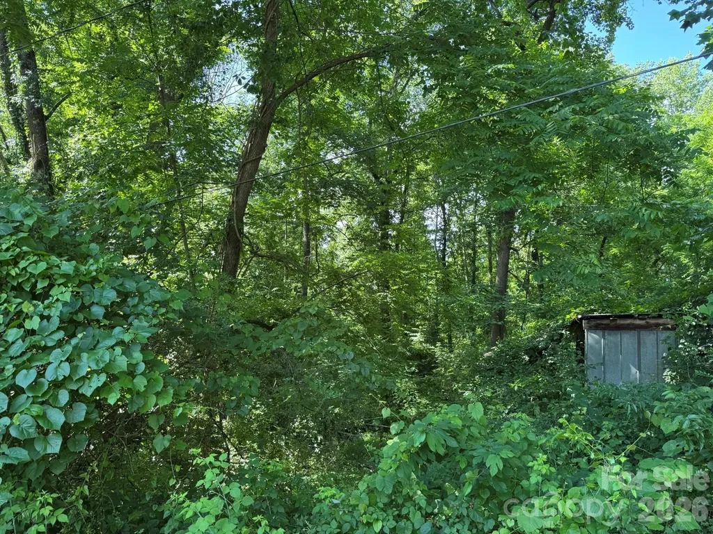0 Arlington Extension Bryson City NC 28713