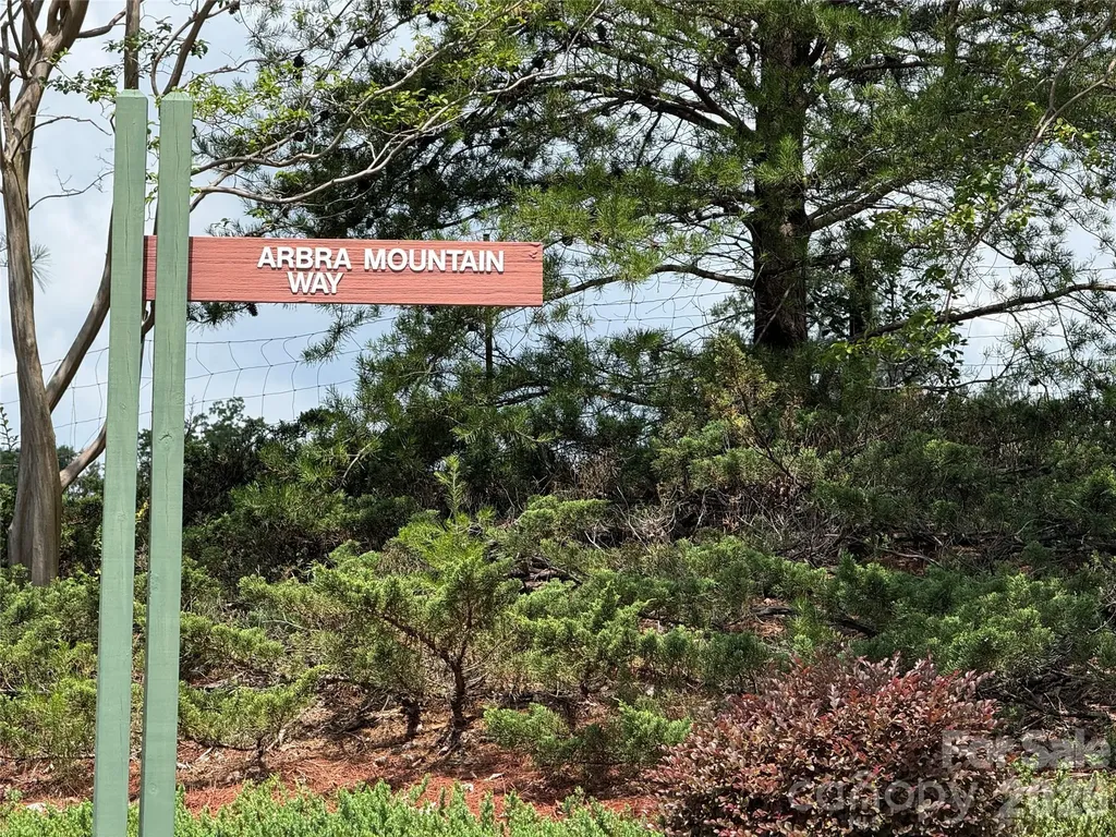 Lot 15 Arbra Mountain Way Bostic NC 28018