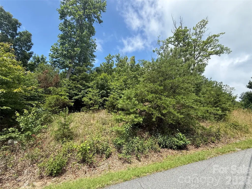 Lot 15 Arbra Mountain Way Bostic NC 28018