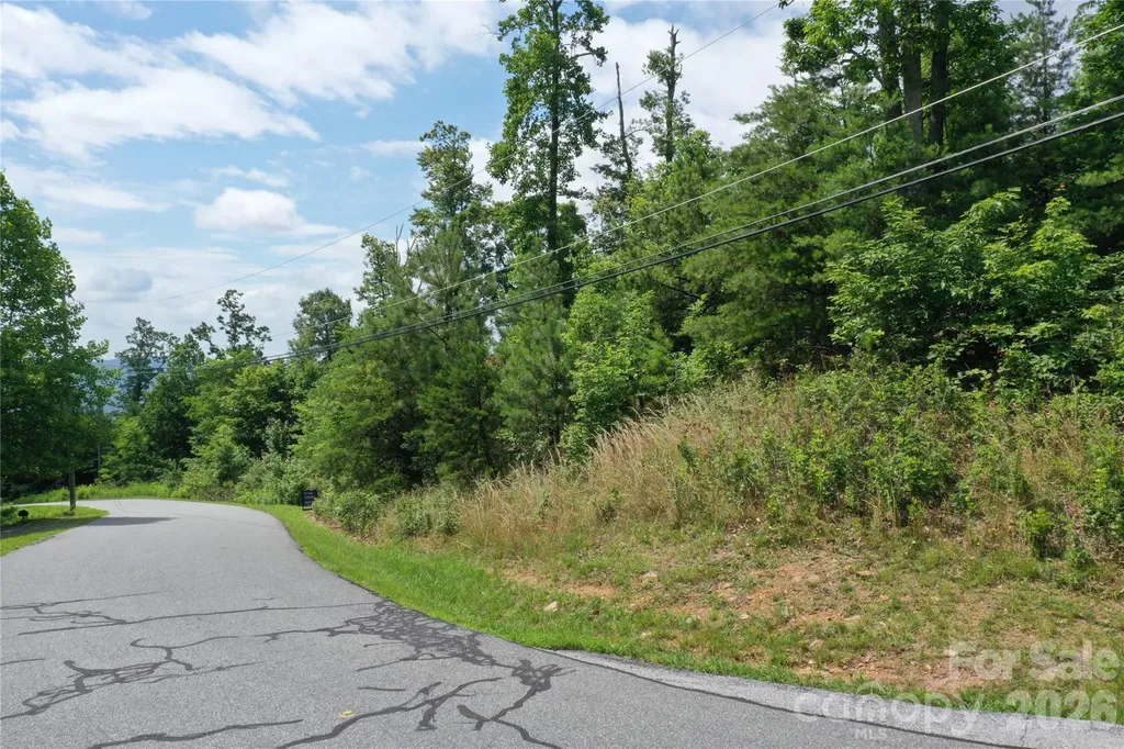 Lot 15 Arbra Mountain Way Bostic NC 28018