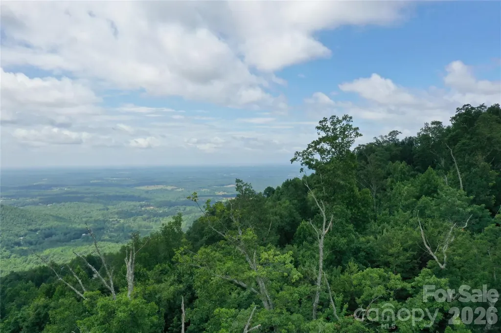 Lot 15 Arbra Mountain Way Bostic NC 28018