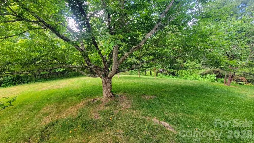 1091 Windswept Ridge Road Marshall NC 28753