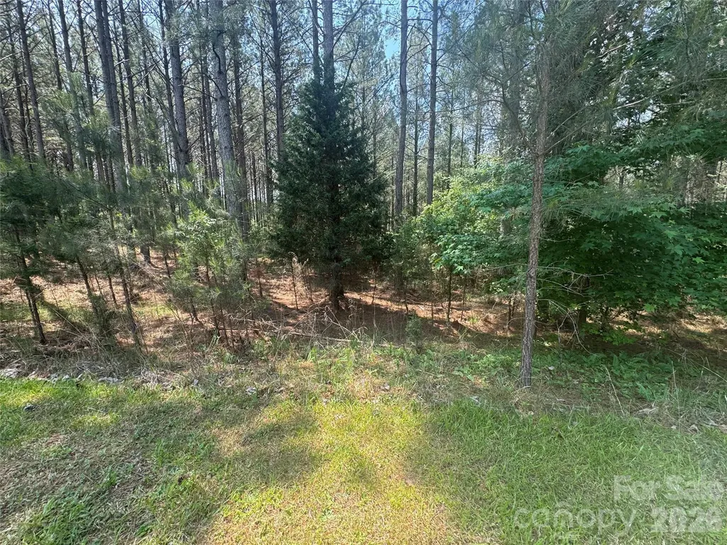 105 Stoney Brook Trail Mooresboro NC 28114