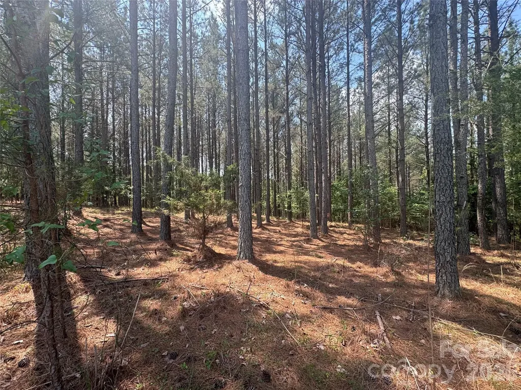 105 Stoney Brook Trail Mooresboro NC 28114