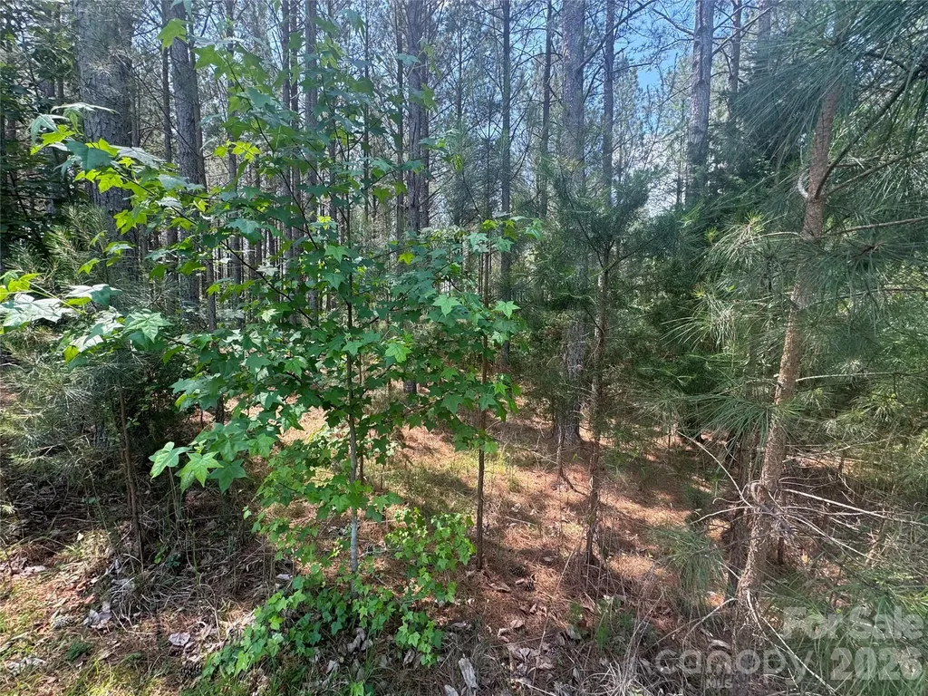 105 Stoney Brook Trail Mooresboro NC 28114
