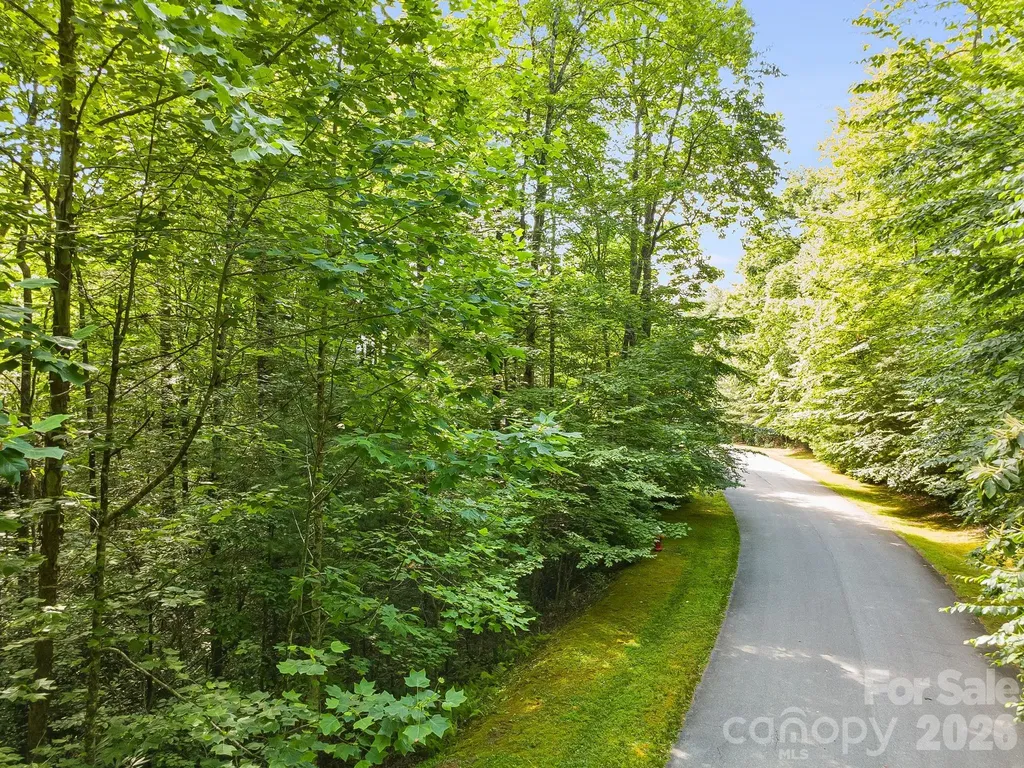 Tbd Allison Creek Trail Brevard NC 28712