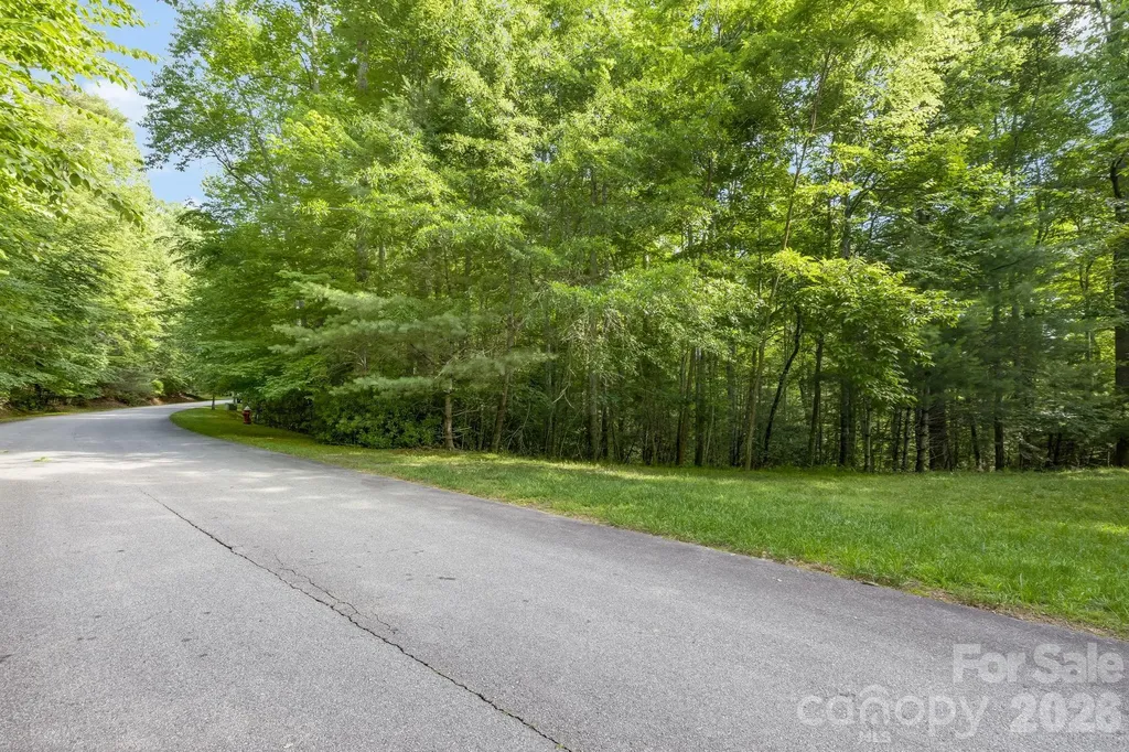 Tbd Allison Creek Trail Brevard NC 28712