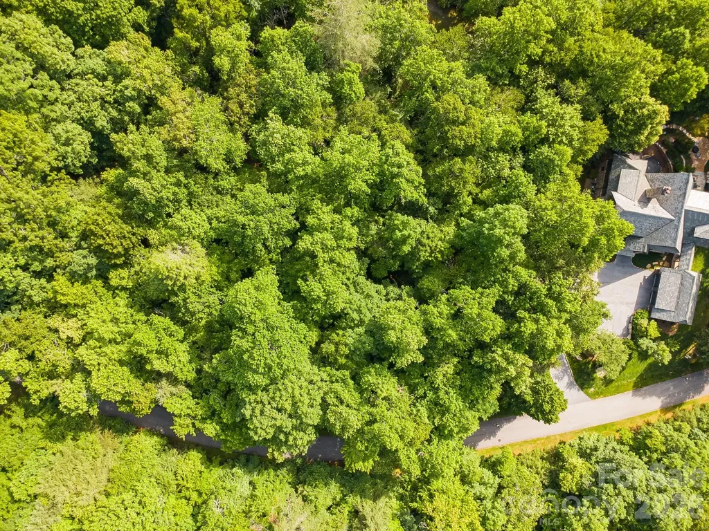 Tbd Allison Creek Trail Brevard NC 28712