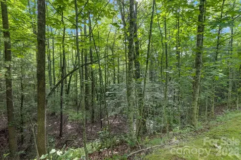 Tbd Allison Creek Trail Brevard NC 28712