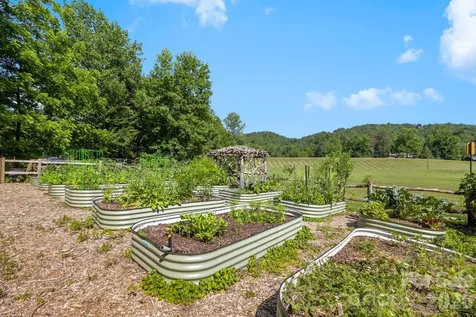 Tbd Allison Creek Trail Brevard NC 28712