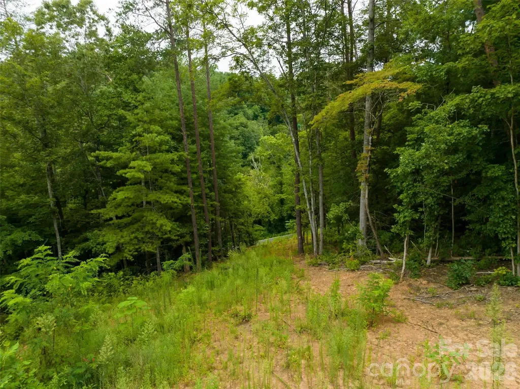 128 Riverbend Forest Drive Asheville NC 28805