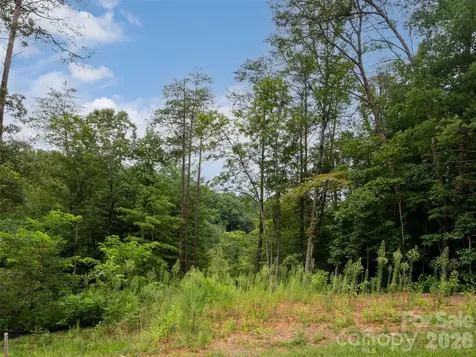 128 Riverbend Forest Drive Asheville NC 28805