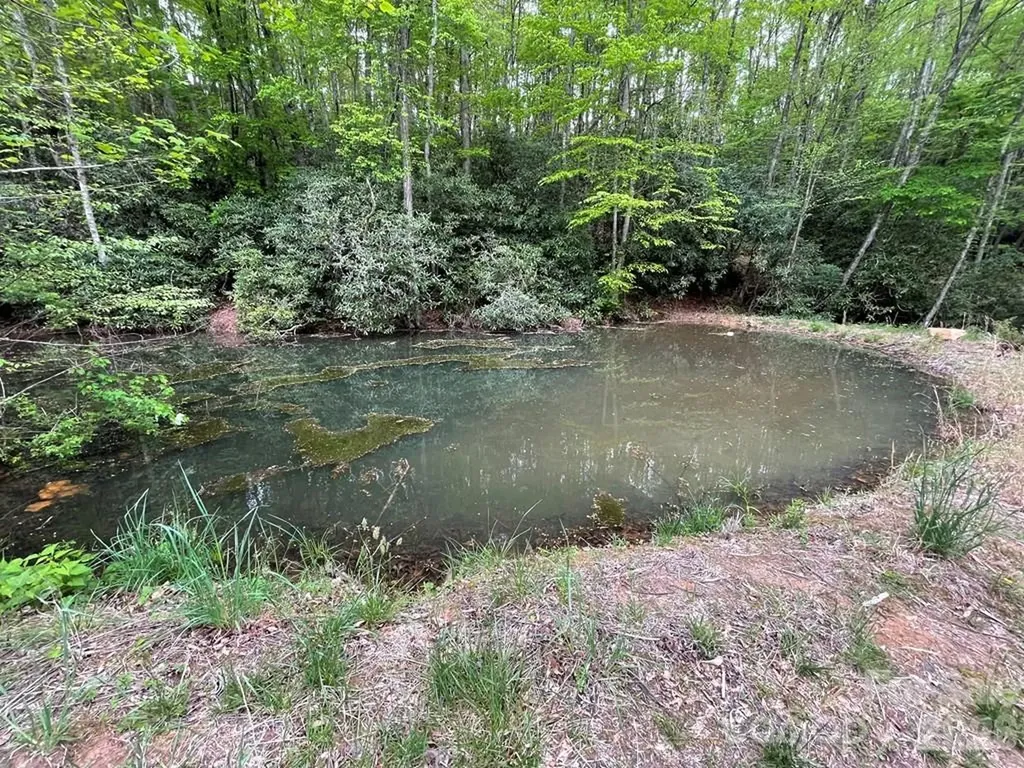 Lot 7 Copperhead Cove Sylva NC 28779