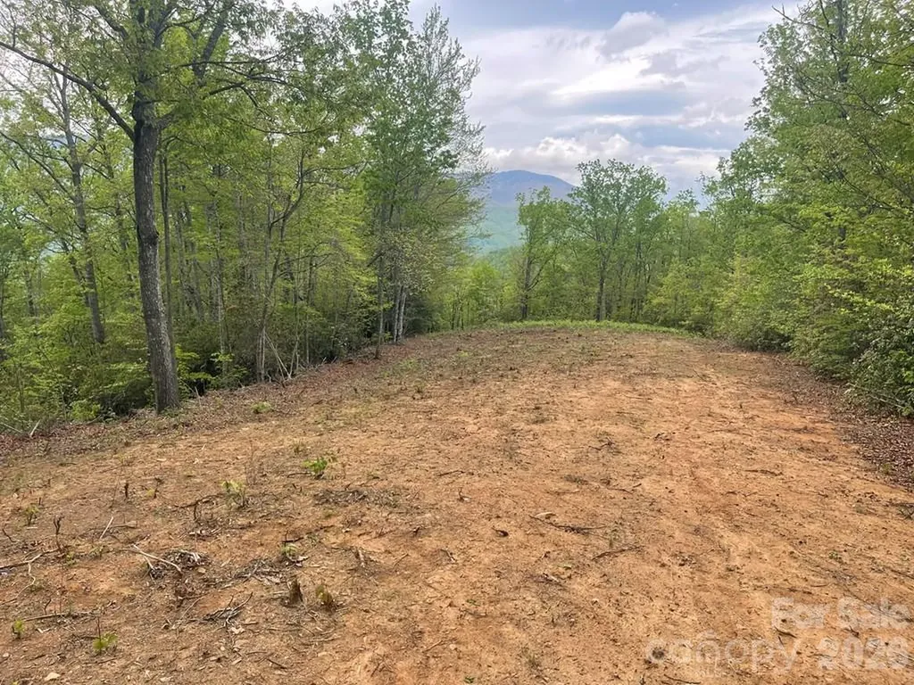Lot 7 Copperhead Cove Sylva NC 28779