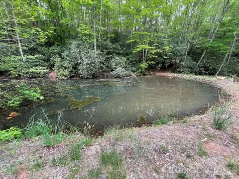 Lot 7 Copperhead Cove Sylva NC 28779