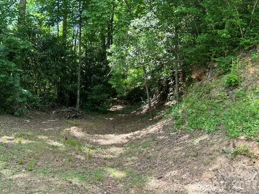 726 Israel Road Brevard NC 28712