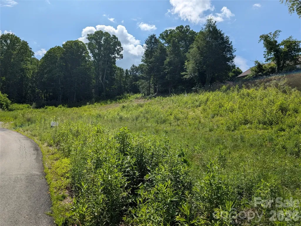 119 Randolph Avenue Black Mountain NC 28711