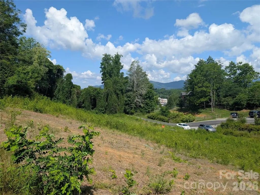 119 Randolph Avenue Black Mountain NC 28711