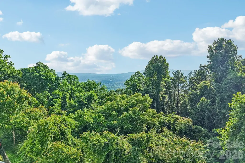 647 Town Mountain Road Asheville NC 28804