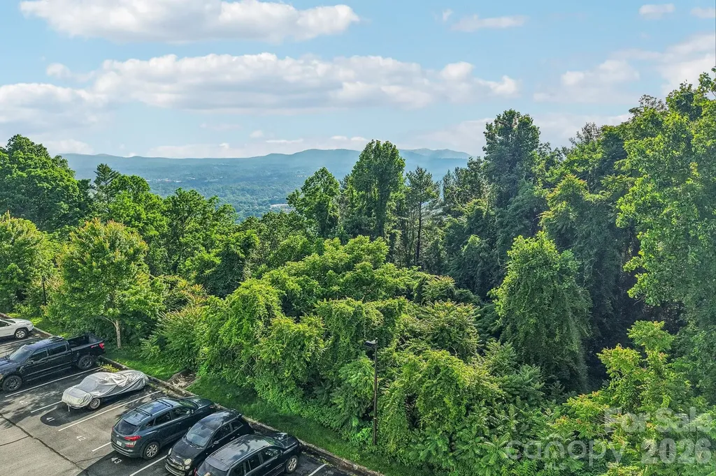 647 Town Mountain Road Asheville NC 28804