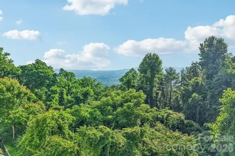 647 Town Mountain Road Asheville NC 28804