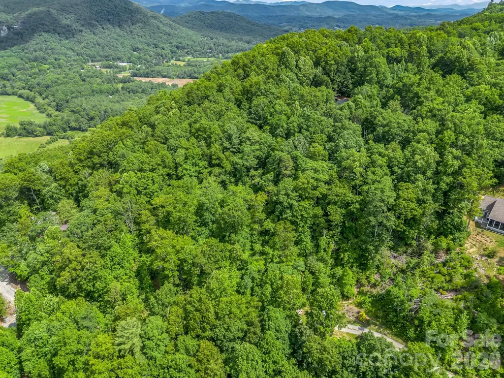 263 Parkway View Lane Penrose NC 28766