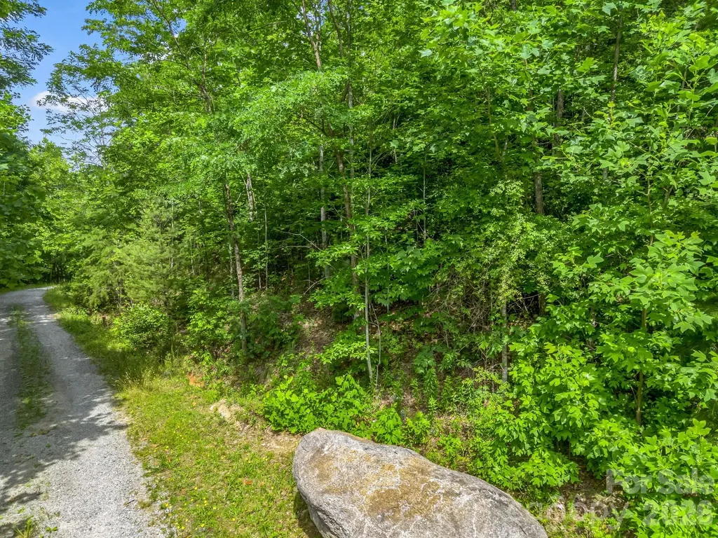 263 Parkway View Lane Penrose NC 28766