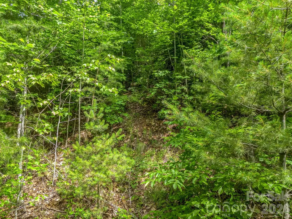 263 Parkway View Lane Penrose NC 28766