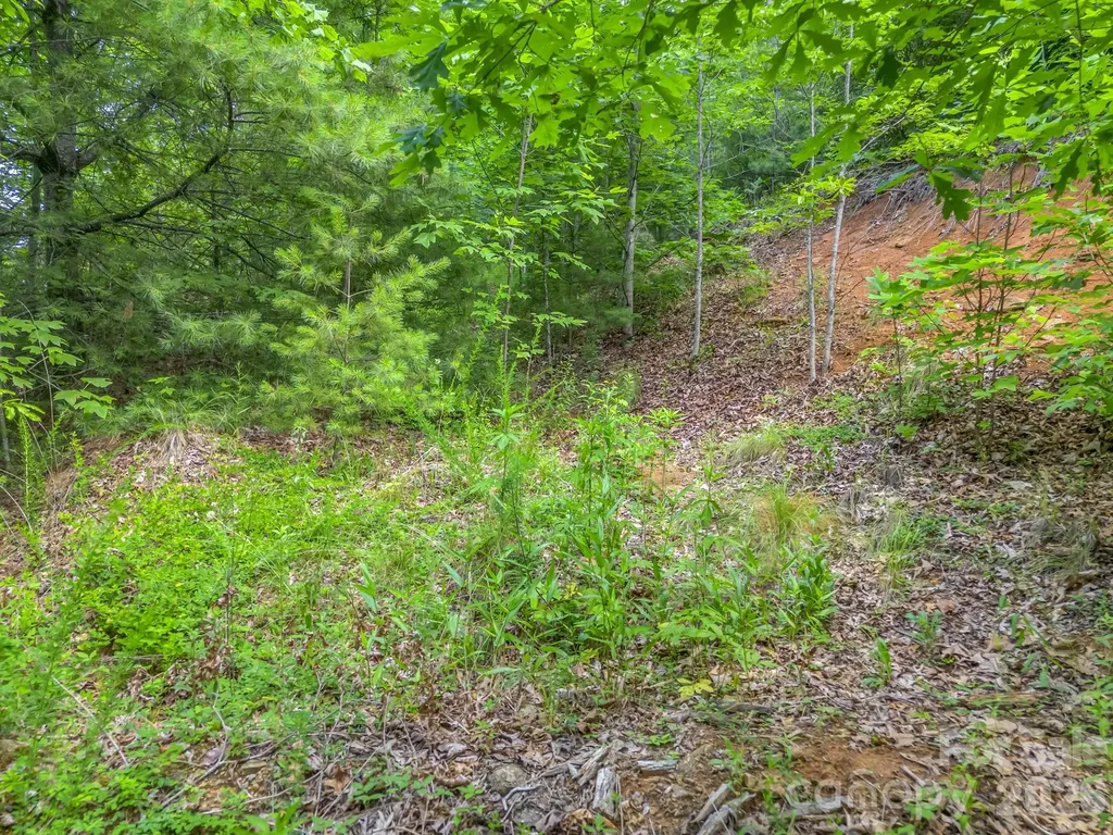 263 Parkway View Lane Penrose NC 28766